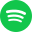Spotify Icon